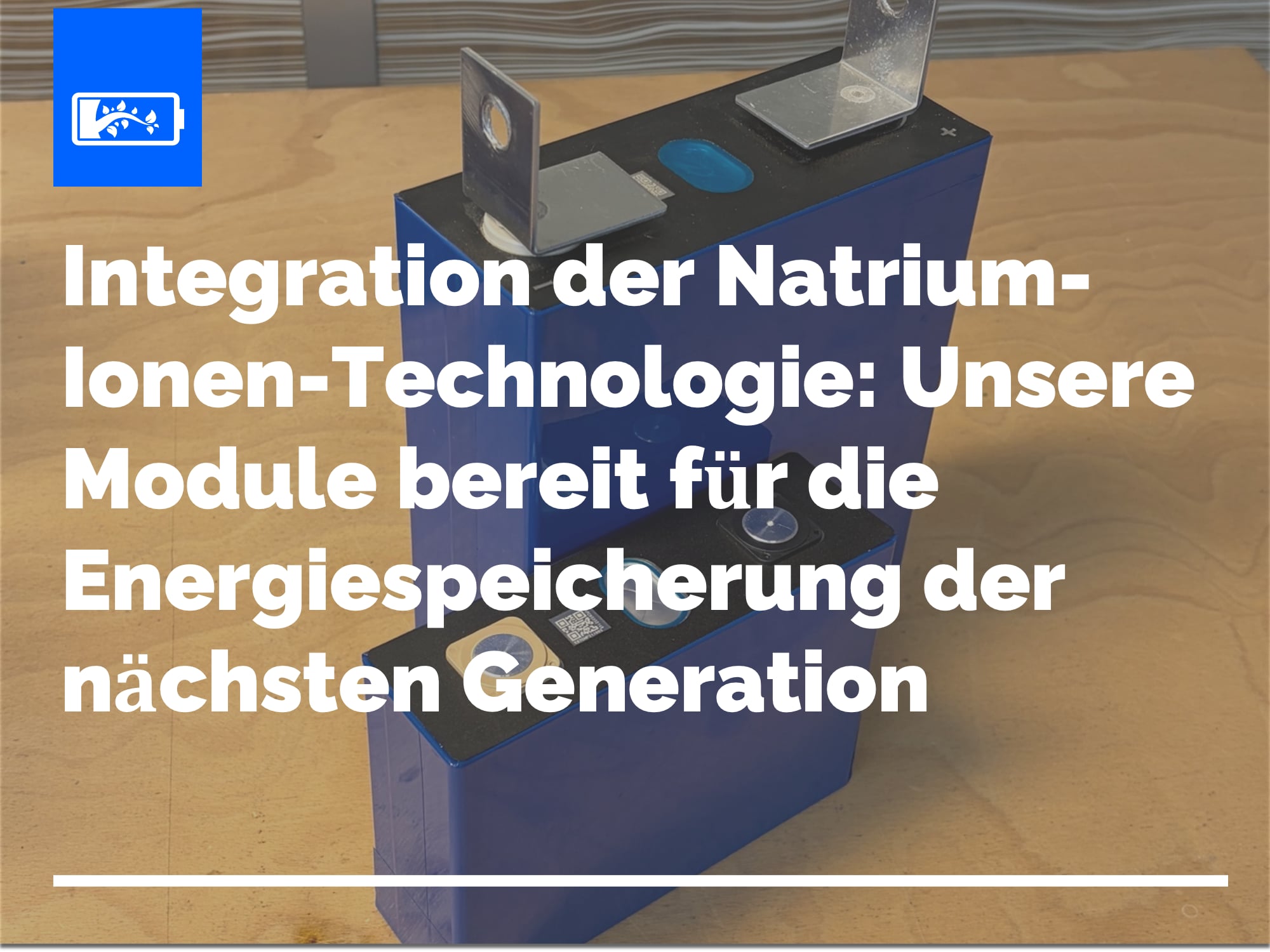 Integration der Natrium-Ionen-Technologie: Unsere Module bereit für die Energiespeicherung der nächsten Generation